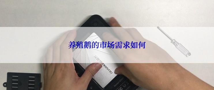 养殖鹅的市场需求如何