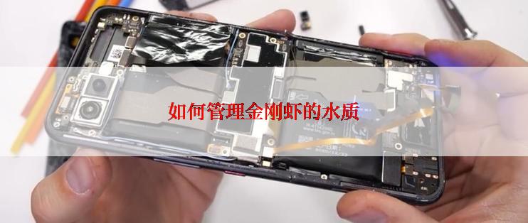 如何管理金刚虾的水质