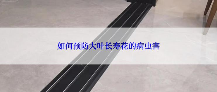 如何预防大叶长寿花的病虫害