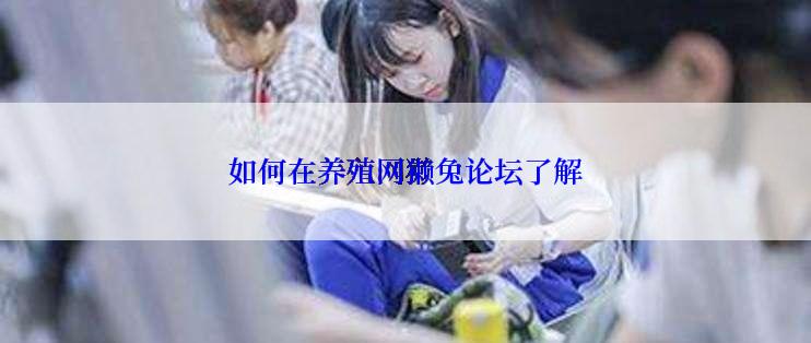 如何在养殖网獭兔论坛了解