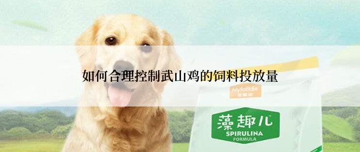 如何合理控制武山鸡的饲料投放量