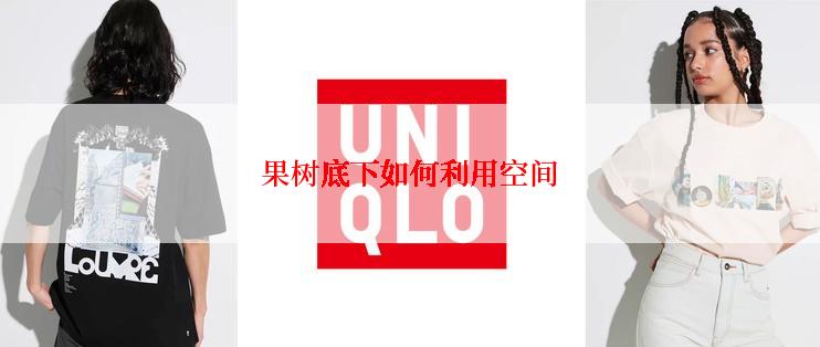果树底下如何利用空间