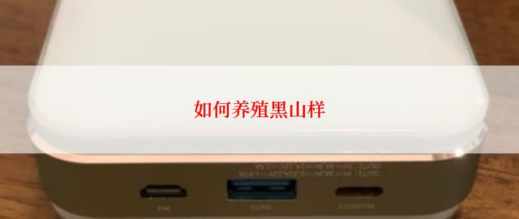 如何养殖黑山样