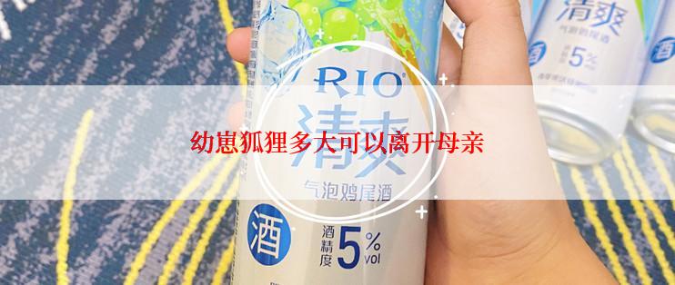 幼崽狐狸多大可以离开母亲