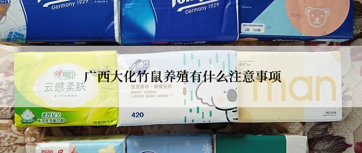 广西大化竹鼠养殖有什么注意事项