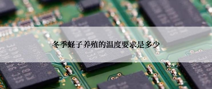 冬季蛏子养殖的温度要求是多少