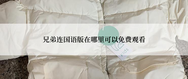 兄弟连国语版在哪里可以免费观看