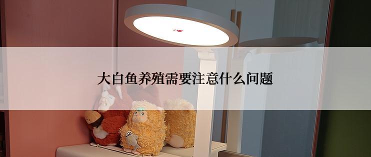 大白鱼养殖需要注意什么问题