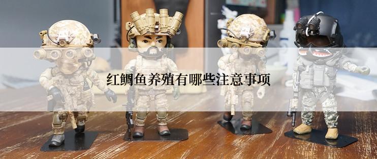 红鲷鱼养殖有哪些注意事项