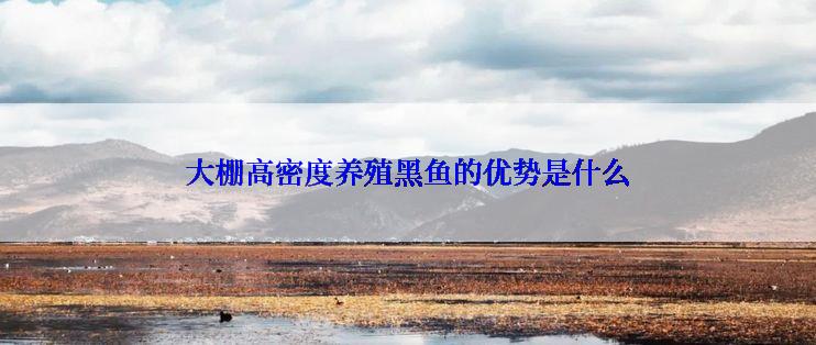 大棚高密度养殖黑鱼的优势是什么