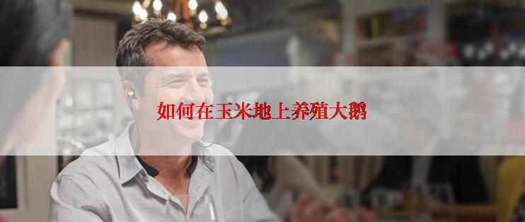 如何在玉米地上养殖大鹅