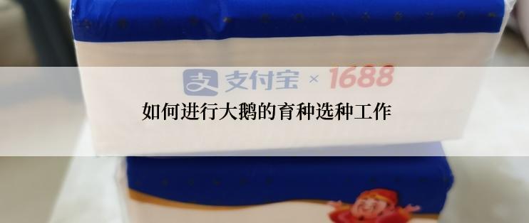  如何进行大鹅的育种选种工作