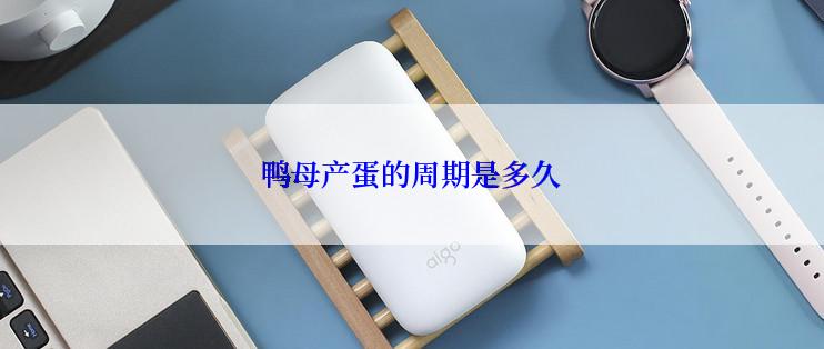 鸭母产蛋的周期是多久