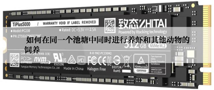  如何在同一个池塘中同时进行养虾和其他动物的饲养