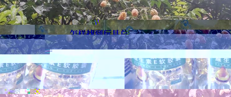  怎样找到玩具总动员2国语版在线观看的网站