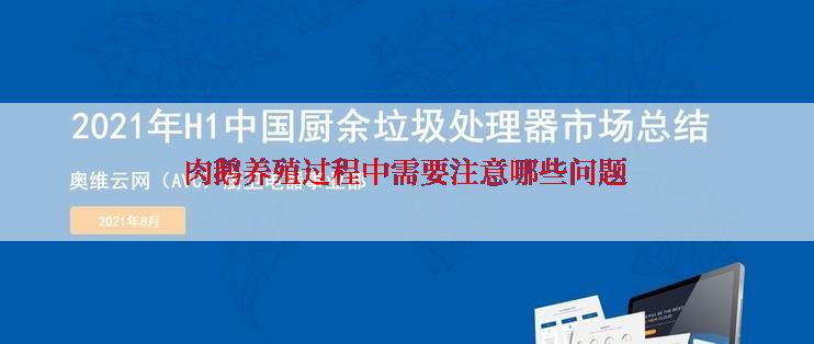 肉鹅养殖过程中需要注意哪些问题