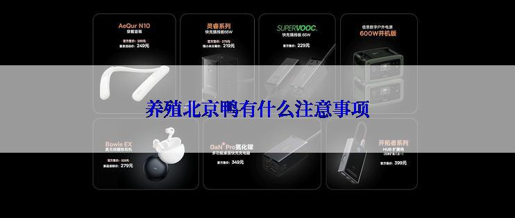 养殖北京鸭有什么注意事项