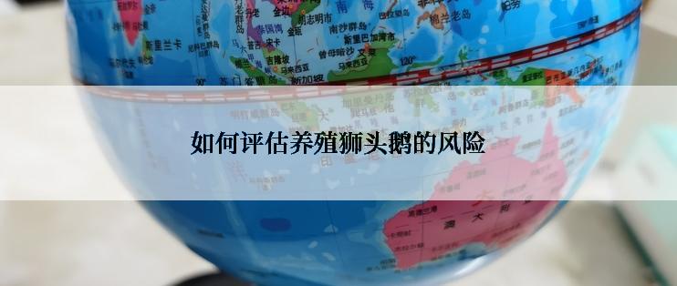 如何评估养殖狮头鹅的风险