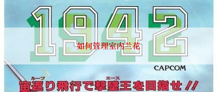 如何管理室内兰花