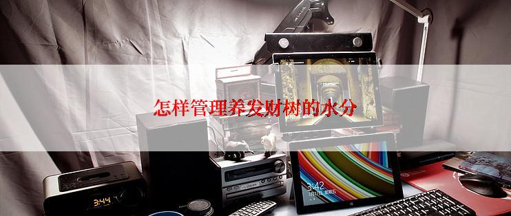 怎样管理养发财树的水分