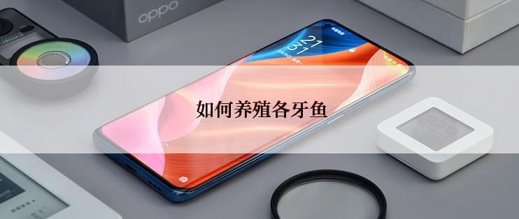  如何养殖各牙鱼