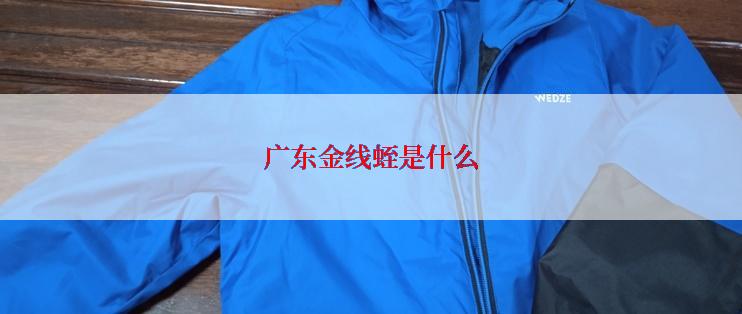 广东金线蛭是什么