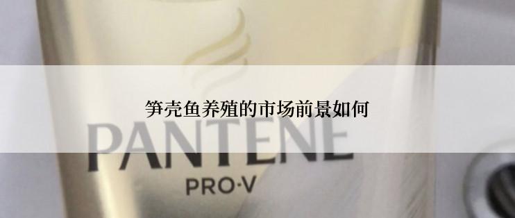 笋壳鱼养殖的市场前景如何