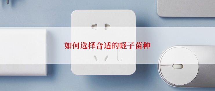 如何选择合适的蛏子苗种