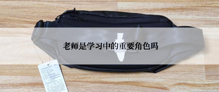  老师是学习中的重要角色吗