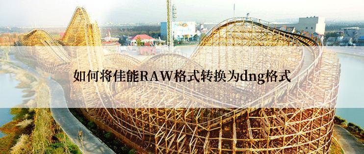 如何将佳能RAW格式转换为dng格式