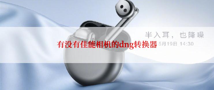 有没有佳能相机的dng转换器