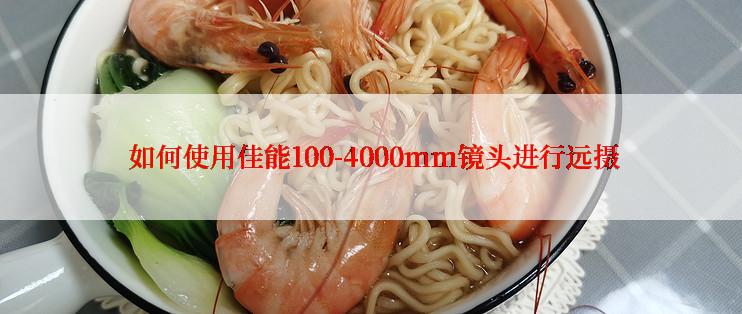  如何使用佳能100-4000mm镜头进行远摄