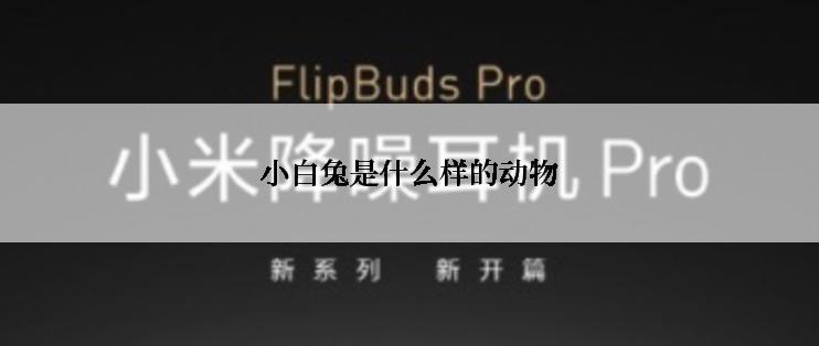 小白兔是什么样的动物