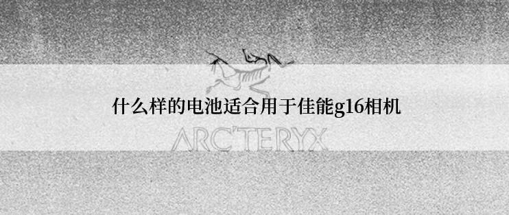  什么样的电池适合用于佳能g16相机