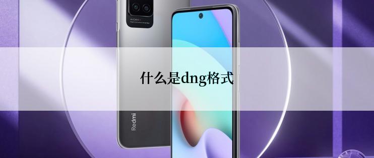 什么是dng格式