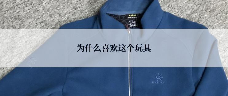 为什么喜欢这个玩具