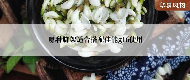  哪种脚架适合搭配佳能g16使用