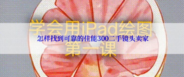  怎样找到可靠的佳能300二手镜头卖家