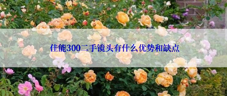  佳能300二手镜头有什么优势和缺点