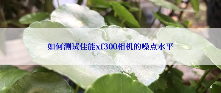 如何测试佳能xf300相机的噪点水平