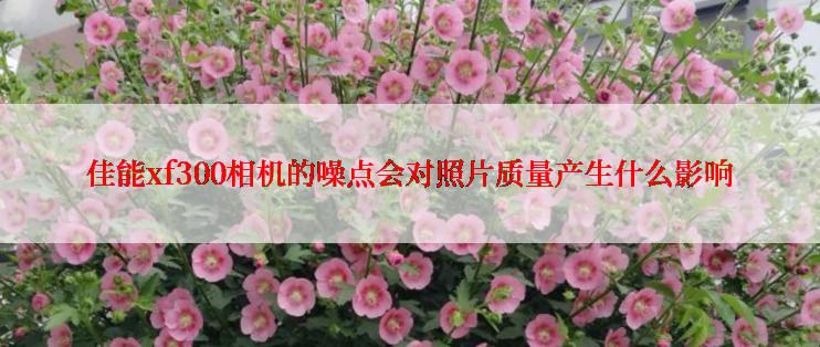 佳能xf300相机的噪点会对照片质量产生什么影响