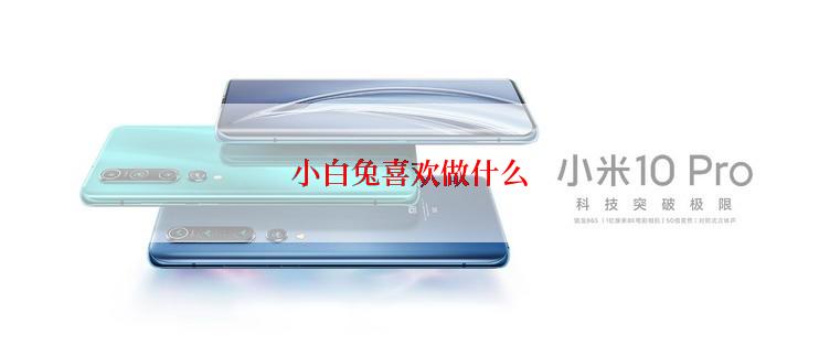 小白兔喜欢做什么