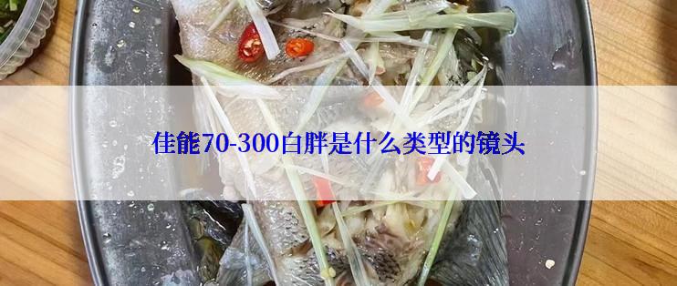 佳能70-300白胖是什么类型的镜头