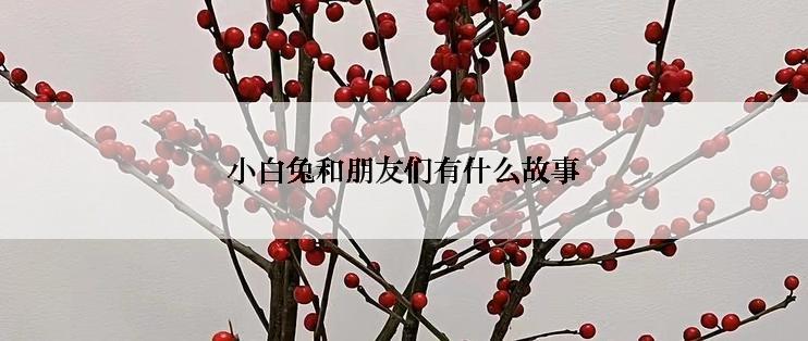 小白兔和朋友们有什么故事