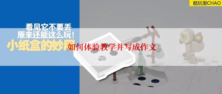  如何体验教学并写成作文
