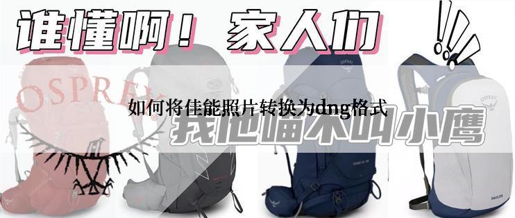 如何将佳能照片转换为dng格式