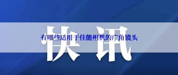 有哪些适用于佳能相机的广角镜头