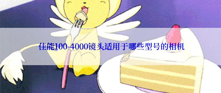  佳能100-4000镜头适用于哪些型号的相机