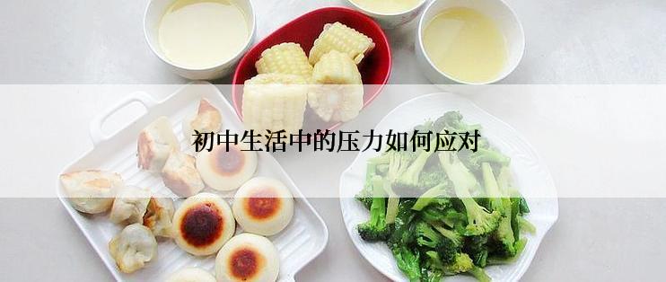  初中生活中的压力如何应对