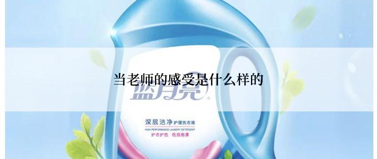 当老师的感受是什么样的